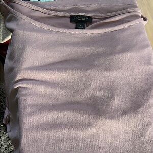 Ann Taylor Women's Mauve Skirt